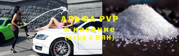 прущие грибы Осташков