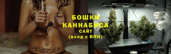 индика Пенза
