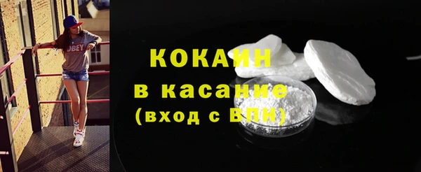 прущие грибы Осташков