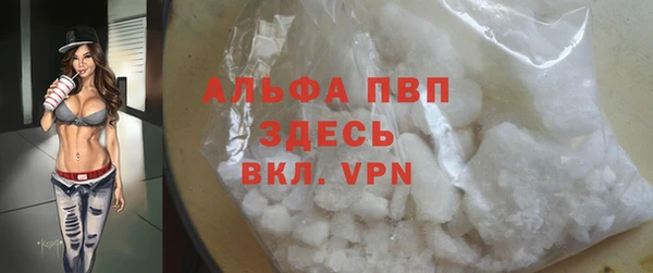 прущие грибы Осташков