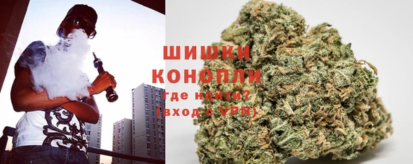 индика Пенза
