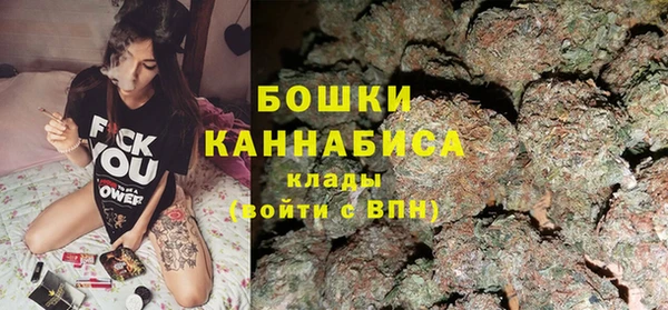 прущие грибы Осташков