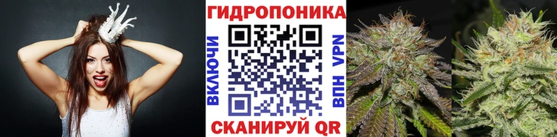 Марихуана OG Kush  что такое наркотик  darknet какой сайт  Россошь 